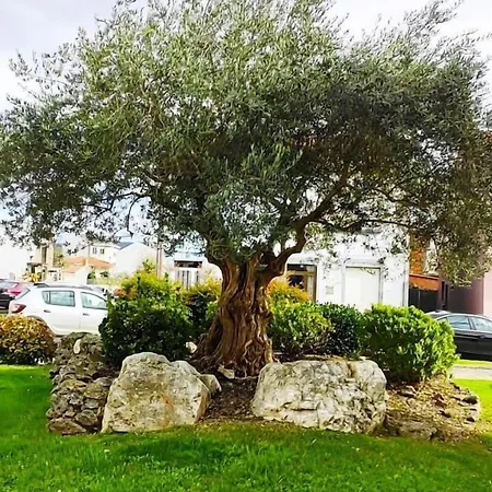 Arraigos * メリーデ